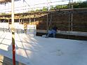 Picture 016